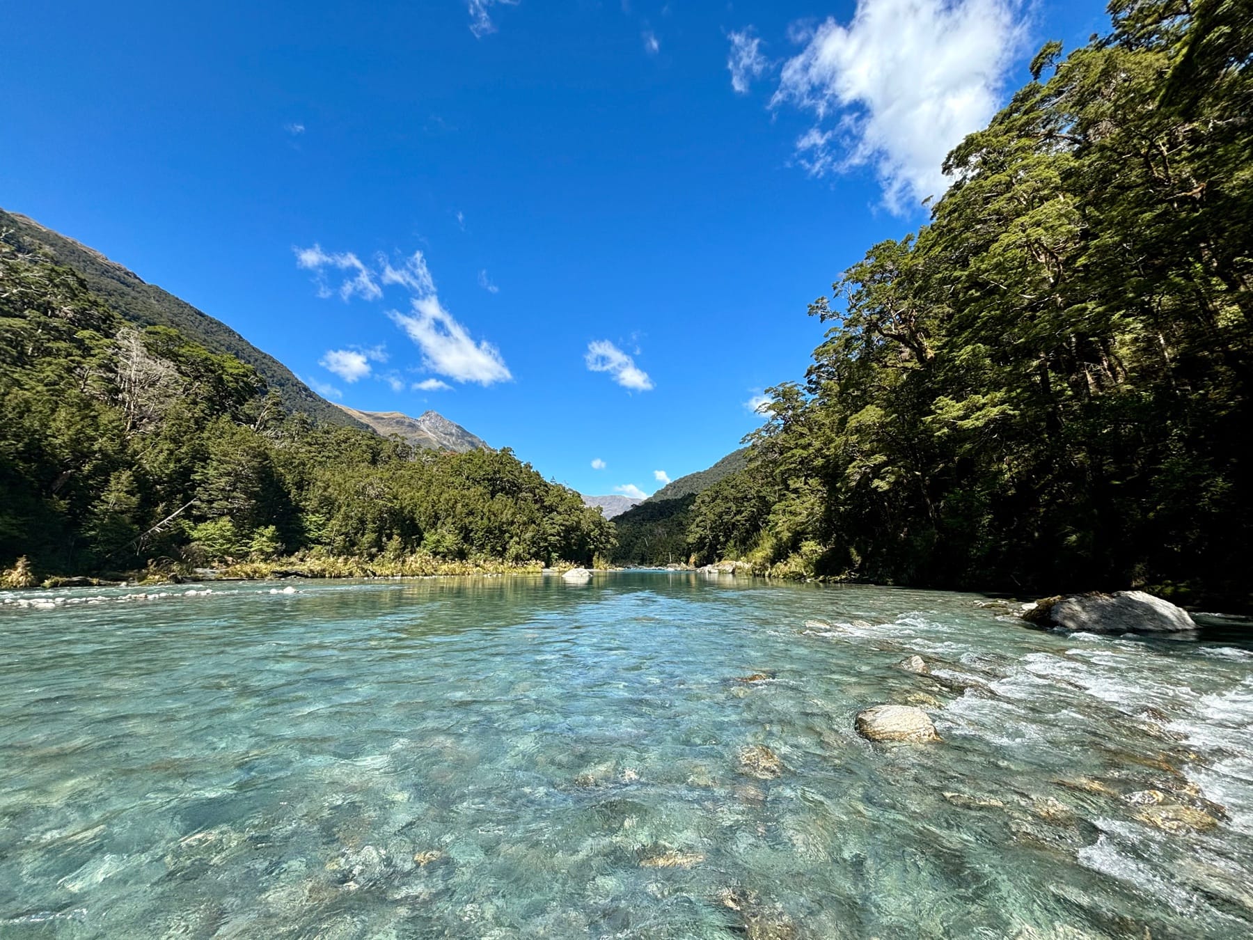 Remote backcountry fly fishing valley, South Island New Zealand