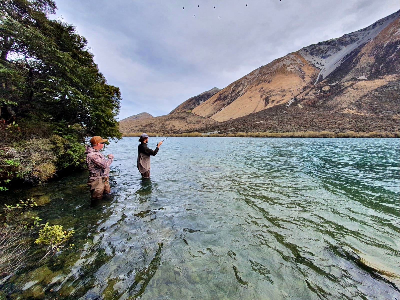 Wading a gin-clear New Zealand spring creek