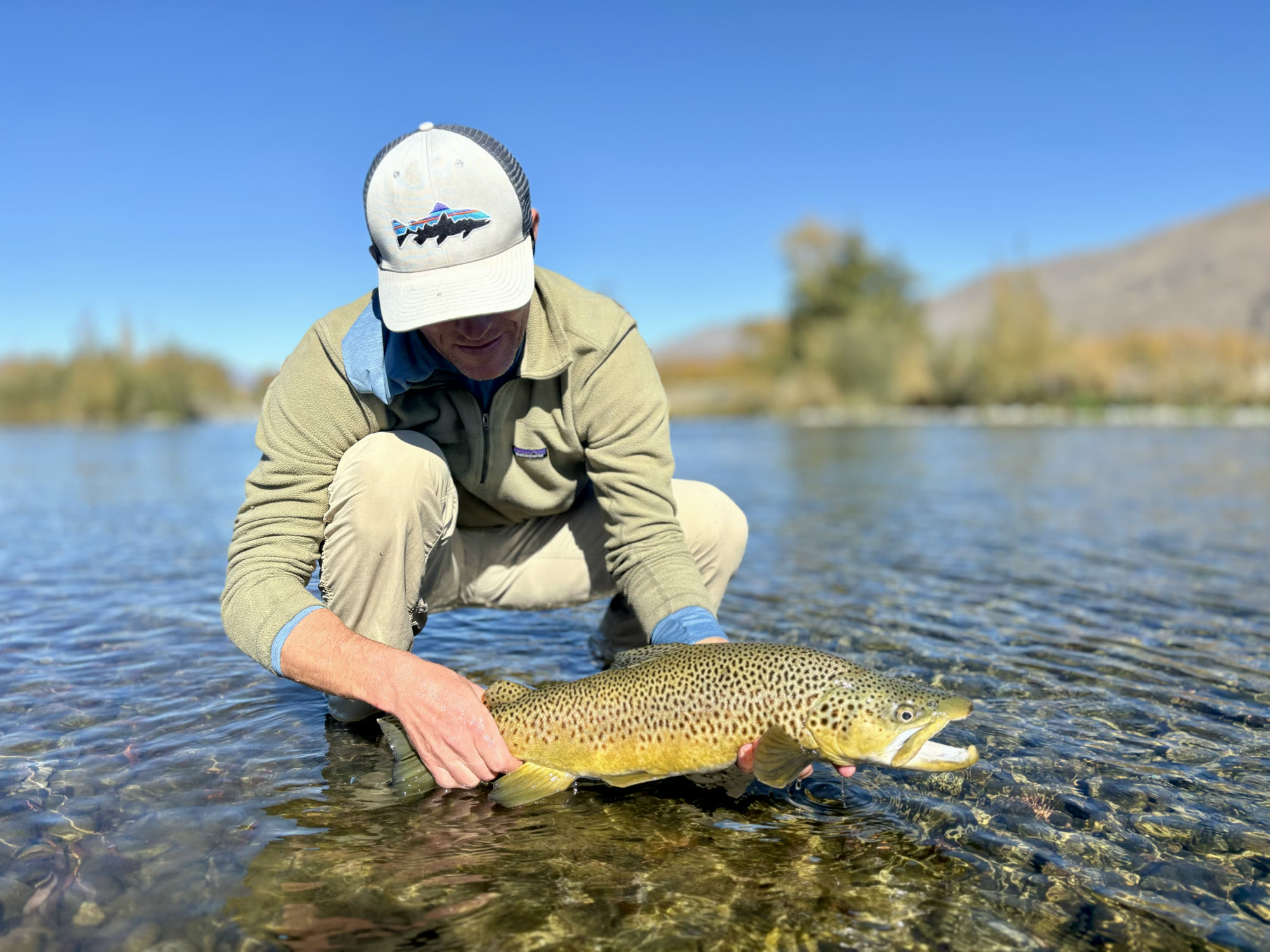 Angler releasing a wild brown trout on a clear South Island river