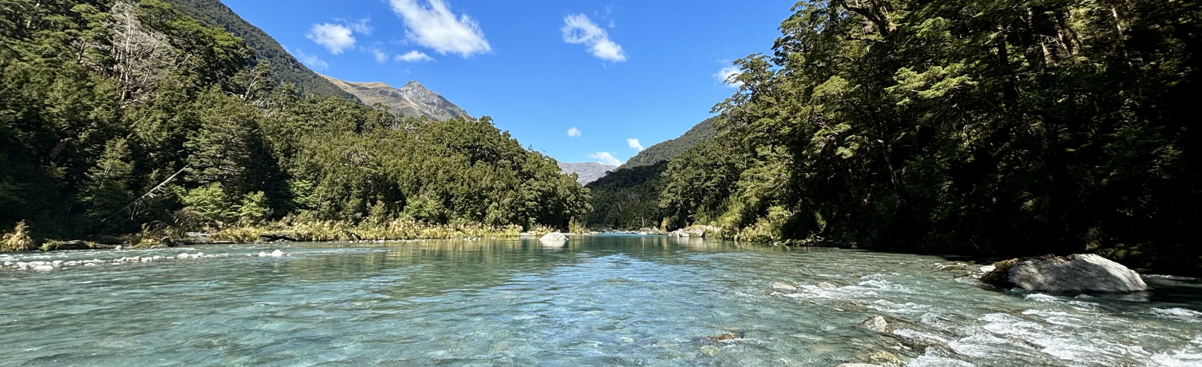 Crystal clear backcountry river running through native New Zealand bush