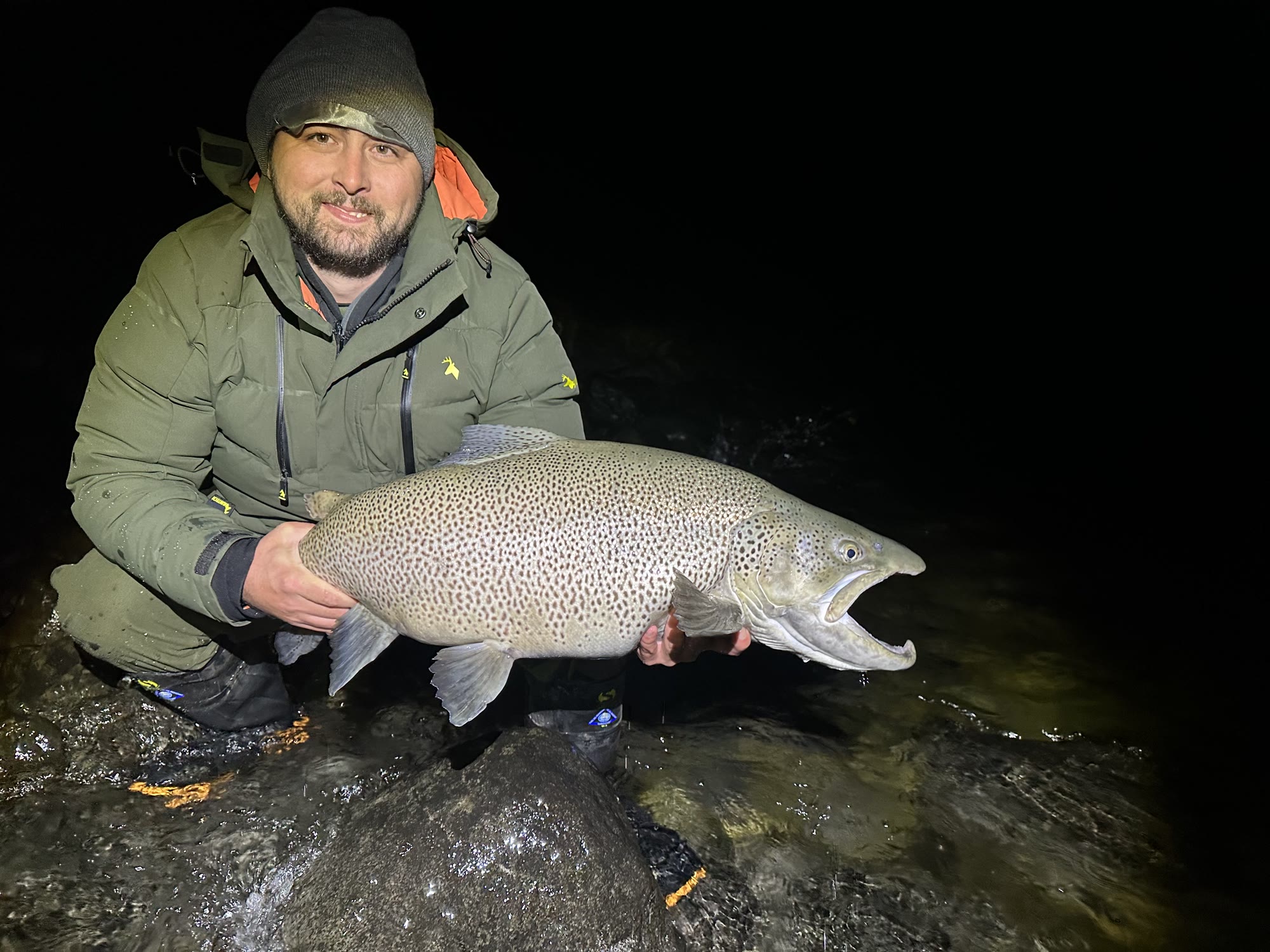Angler holding a huge wild brown trout landed after dark