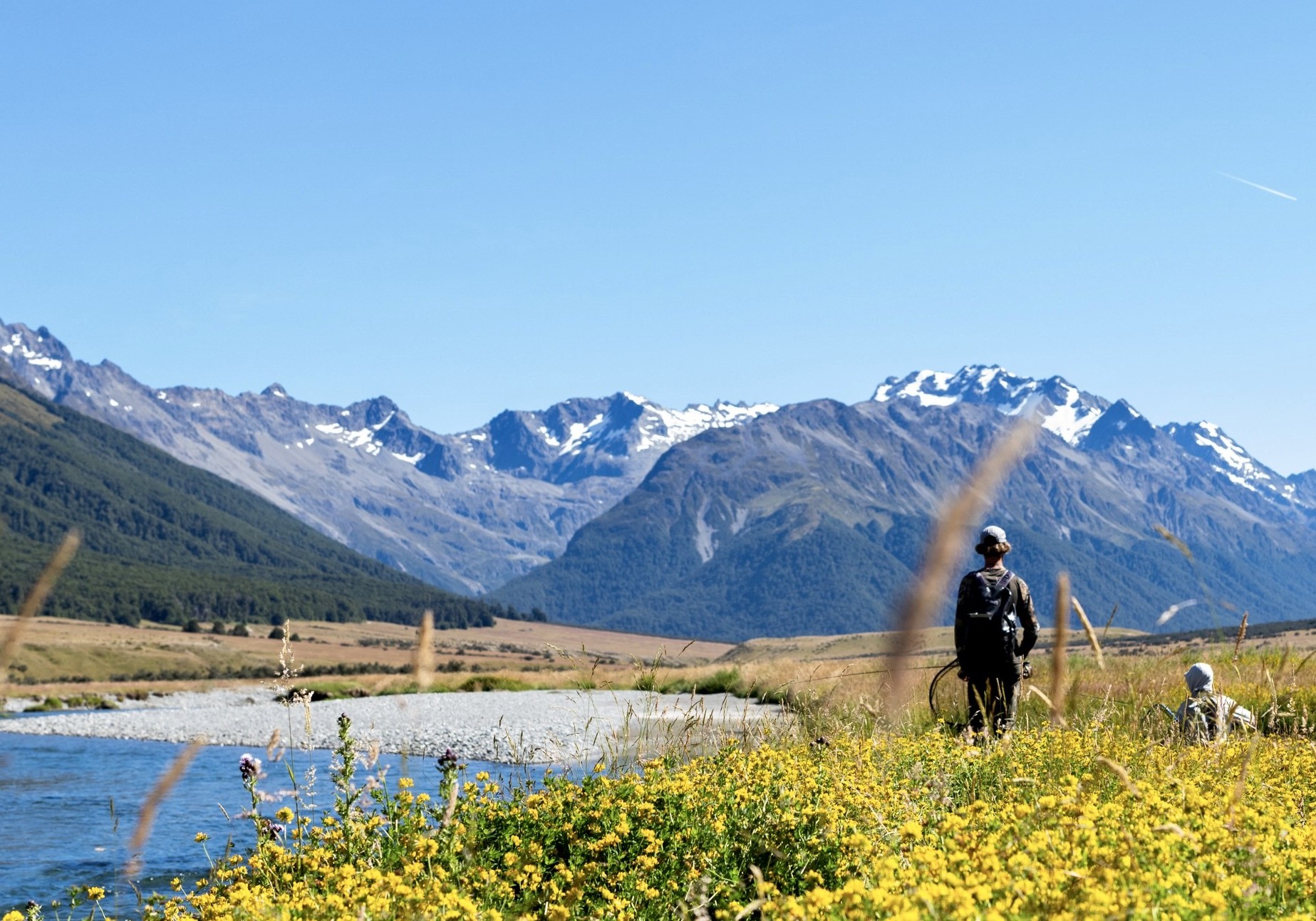 Angler releasing a large wild brown trout on a South Island river